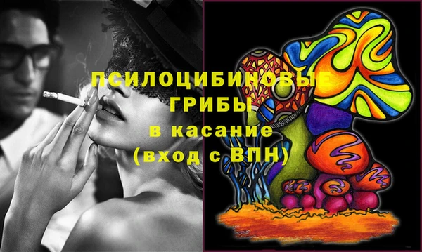 спиды Беломорск